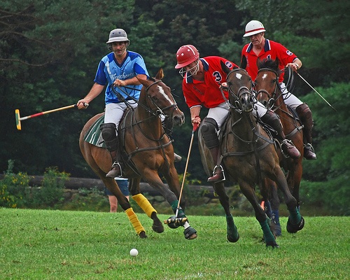 polocountry