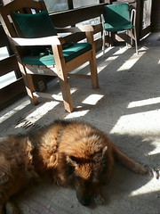 Relaxing on the porch
