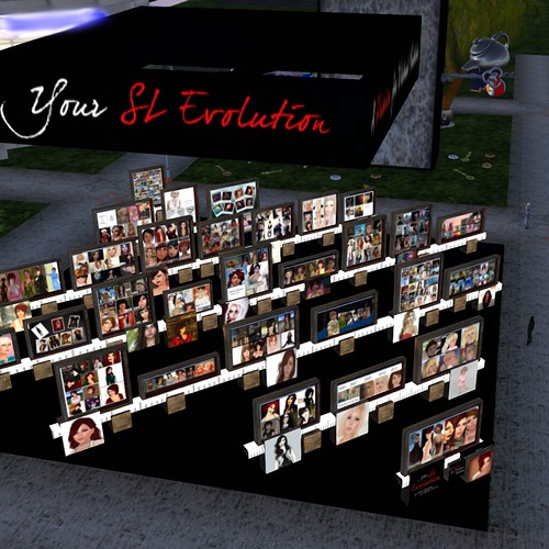 Your SL Evolution