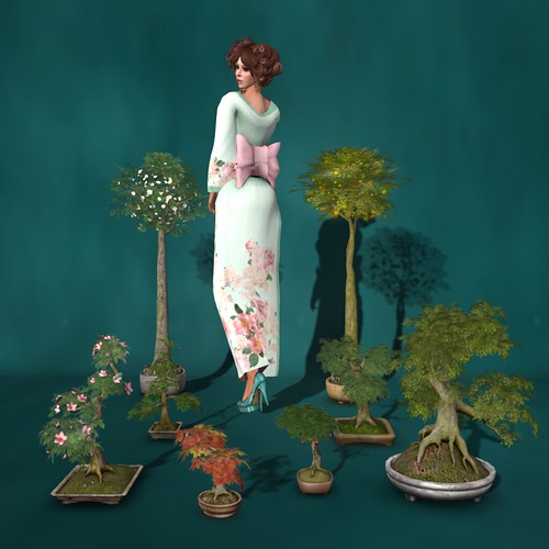 Bonsai
