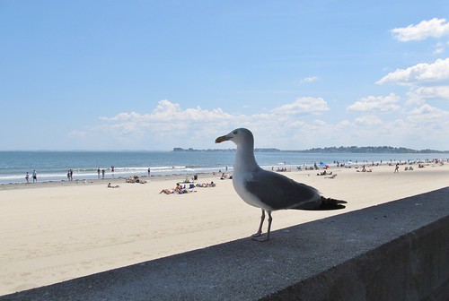 Enjoying the view