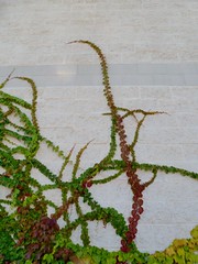 Reaching