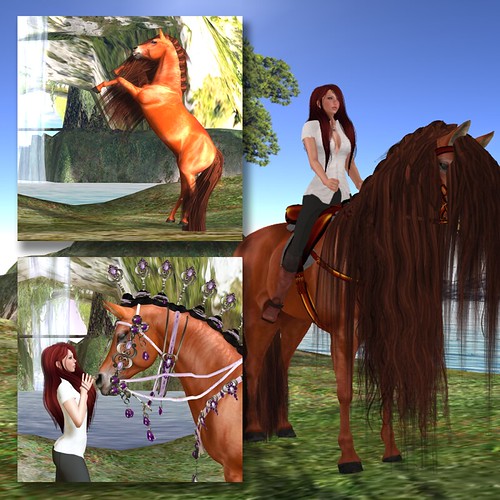 Horse Love