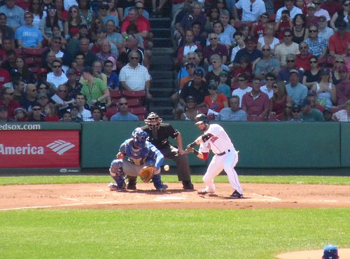 Pedroia at bat