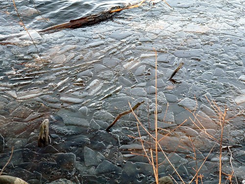 Ice shards
