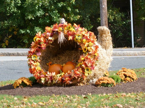 Cornucopia
