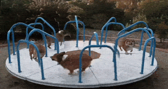 Image result for merry go round meme