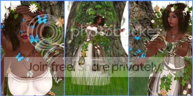 Angelwing and Butterflies