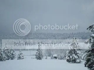 Snowscape