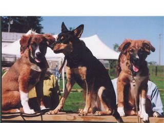BookEnds