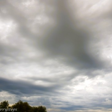 The Golden Shine in the Silver Lining…