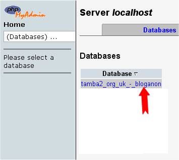 PHPMyAdmin database selection