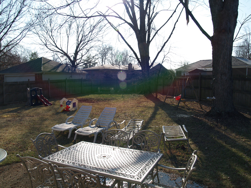 Clean back yard CLena back yard