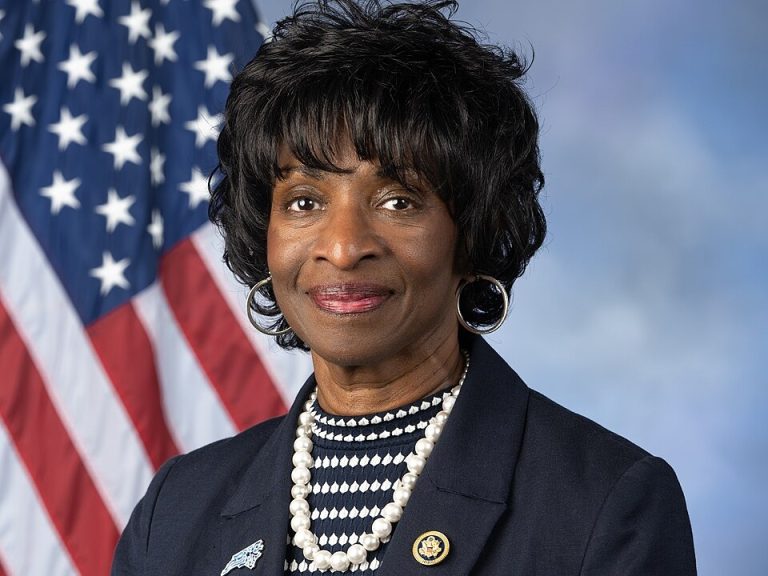 Valerie_foushee_118th_congress_3 ‣ iands Portrait of an african american woman official wearing a navy blazer, pearl necklace, and pin, with the u. S. Flag in the background.