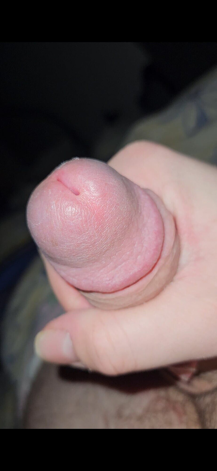 Fluffy Boi: Just a Quick Jerk-Off セッション