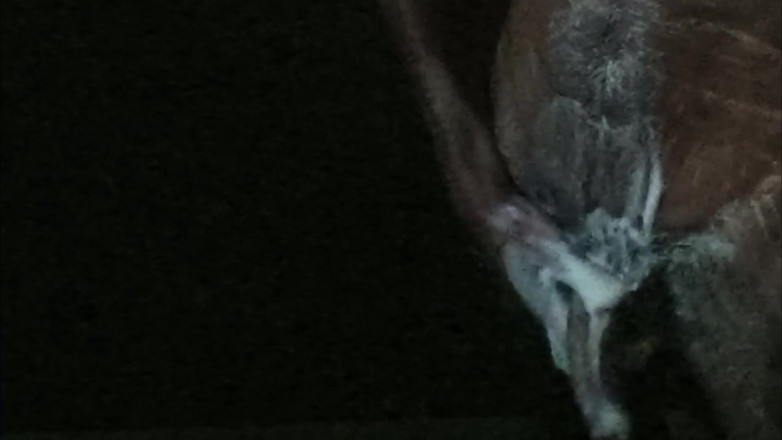 Fun_with_Rockey: Está acontecendo no escuro