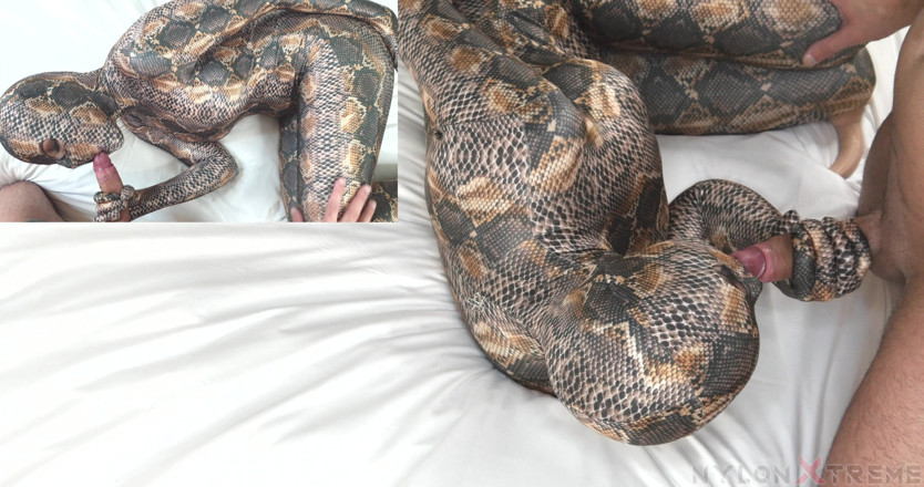 Nylon Xtreme: Nora Fox Snake Encasement Zentai Doggy Style
