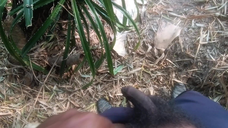 Kunukuni: Village girls bhabhi, chica de la selva bombeando la mano