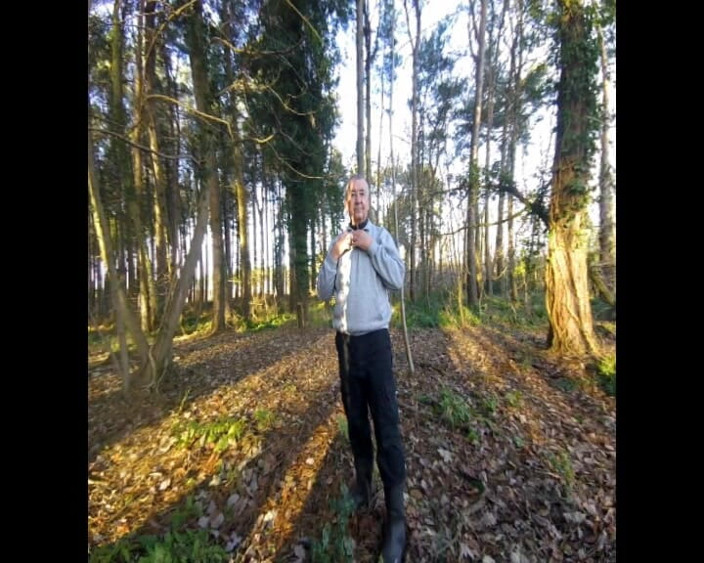 Andy: Mokrý les
