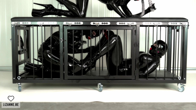 Lizanne: La Cage