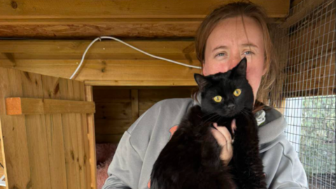 A woman with brown hair and a grey top is holding a large black cat with yellow eyes in a room with wooden walls.