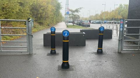 A tree-lined cycle path with two large planters installed on it. Three bollards are also placed in front of the planters. Rows of parked cars can be seen to the right. The sky in the background is grey.