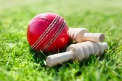 cricket