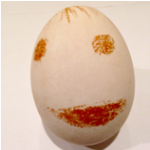 Off screen with app – draw on egg
