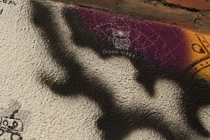 IMG_5422