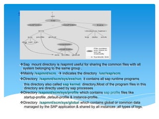 SAP R/3 Directory structure (2)

Sap mount directory is /sapmnt useful for sharing the common files with all
system belonging to the same group .
Mainly /sapmnt/scm  indicates the directory /usr/sap/scm
Directory /sapmnt/scm/sys/exe/run it contains all sap runtime programs
this directory also called sap kernel directory.Most of the program files in this
directory are directly used by sap processes
Directory /sapmnt/scm/sys/profile which contains sap profile files like
startup-profile ,default-profile & instance-profile.
Directory /sapmnt/scm/sys/global which contains global or common data
managed by the SAP application & shared by all instances ,all types of logs.

 