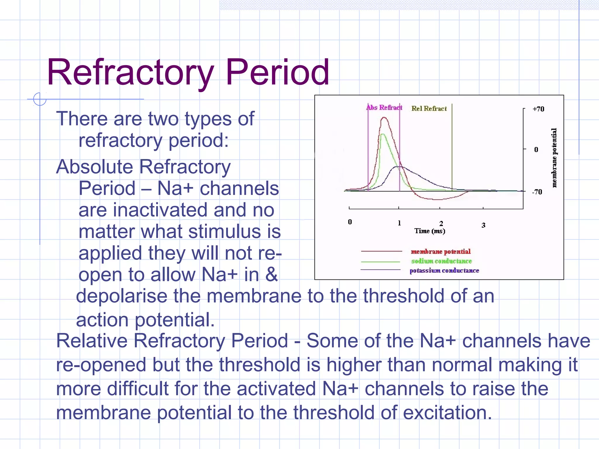 Refractory Period
There are two types of
   refractory period:
Absolute Refractory
   Period – Na+ channels
   are inactivated and no
   matter what stimulus is
   applied they will not re-
   open to allow Na+ in &
  depolarise the membrane to the threshold of an
  action potential.
Relative Refractory Period - Some of the Na+ channels have
re-opened but the threshold is higher than normal making it
more difficult for the activated Na+ channels to raise the
membrane potential to the threshold of excitation.
 