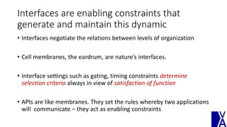 Interfaces are enabling constraints that
generate and maintain this dynamic
• Interfaces negotiate the relations between levels of organization
• Cell membranes, the eardrum, are nature’s interfaces.
• Interface settings such as gating, timing constraints determine
selection criteria always in view of satisfaction of function
• APIs are like membranes. They set the rules whereby two applications
will communicate – they act as enabling constraints
 