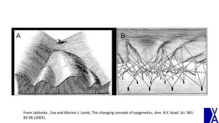 From Jablonka , Eva and Marion J. Lamb, The changing concept of epigenetics. Ann. N.Y. Acad. Sci. 981:
82-96 (2002).
 