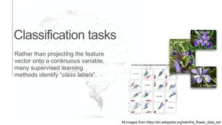 Classification tasks I. setosa
I. virginica
I. versicolor
All images from https://en.wikipedia.org/wiki/Iris_flower_data_set
Rather than projecting the feature
vector onto a continuous variable,
many supervised learning
methods identify “class labels”.
 