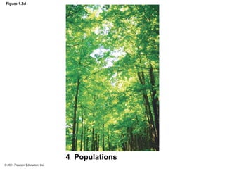 © 2014 Pearson Education, Inc.
Figure 1.3d
4 Populations
 