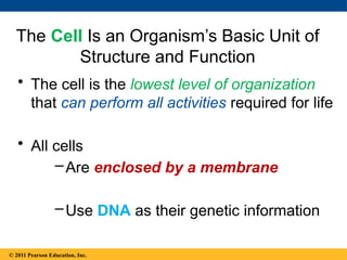 © 2014 Pearson Education, Inc.
The Cell Is an Organism’s Basic Unit of
Structure and Function
• The cell is the lowest level of organization
that can perform all activities required for life
• All cells
–Are enclosed by a membrane
–Use DNA as their genetic information
© 2011 Pearson Education, Inc.
 