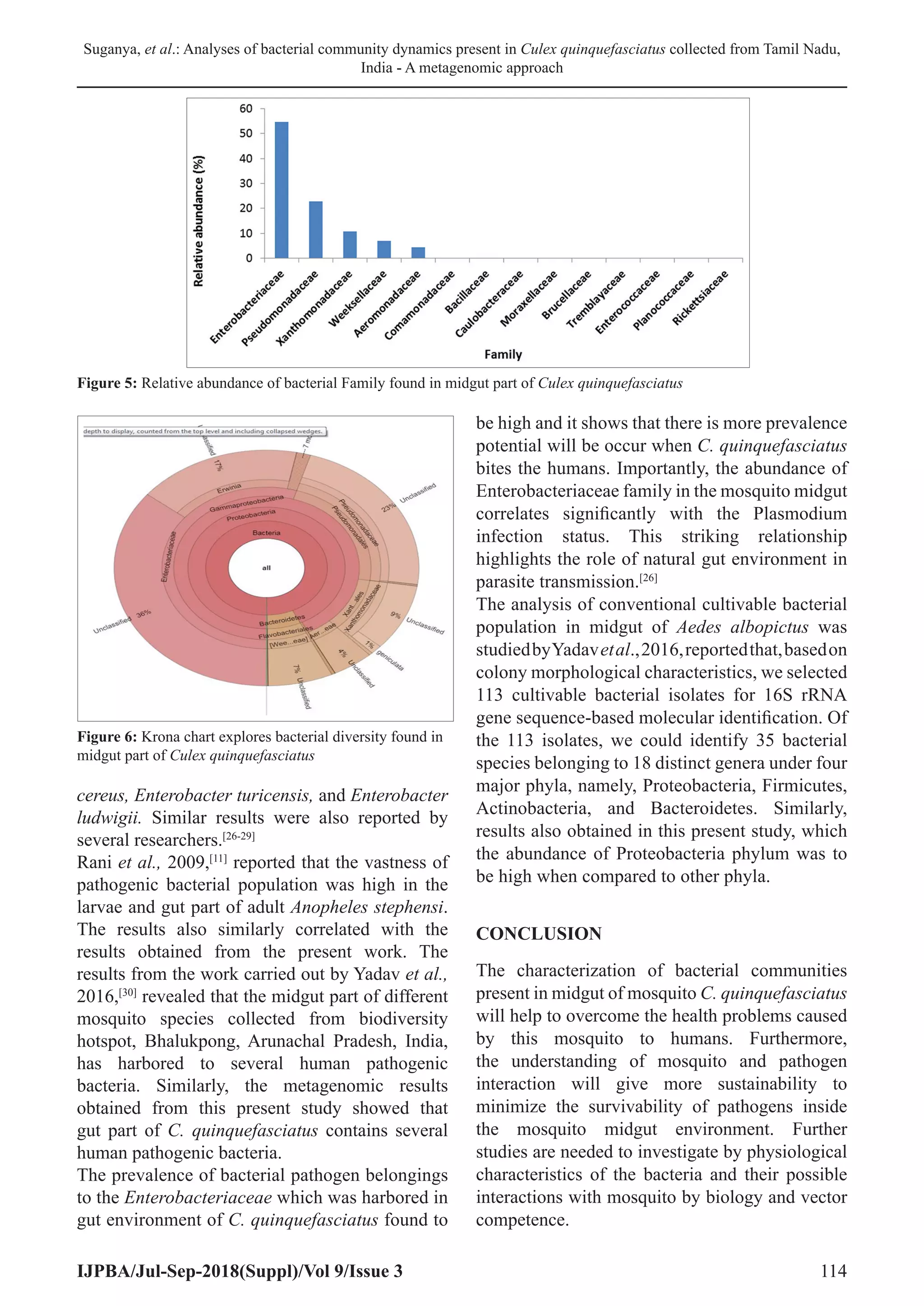 Suganya, et al.: Analyses of bacterial community dynamics present in Culex quinquefasciatus collected from Tamil Nadu,
India - A metagenomic approach
IJPBA/Jul-Sep-2018(Suppl)/Vol 9/Issue 3 114
cereus, Enterobacter turicensis, and Enterobacter
ludwigii. Similar results were also reported by
several researchers.[26-29]
Rani et al., 2009,[11]
reported that the vastness of
pathogenic bacterial population was high in the
larvae and gut part of adult Anopheles stephensi.
The results also similarly correlated with the
results obtained from the present work. The
results from the work carried out by Yadav et al.,
2016,[30]
revealed that the midgut part of different
mosquito species collected from biodiversity
hotspot, Bhalukpong, Arunachal Pradesh, India,
has harbored to several human pathogenic
bacteria. Similarly, the metagenomic results
obtained from this present study showed that
gut part of C. quinquefasciatus contains several
human pathogenic bacteria.
The prevalence of bacterial pathogen belongings
to the Enterobacteriaceae which was harbored in
gut environment of C. quinquefasciatus found to
be high and it shows that there is more prevalence
potential will be occur when C. quinquefasciatus
bites the humans. Importantly, the abundance of
Enterobacteriaceae family in the mosquito midgut
correlates significantly with the Plasmodium
infection status. This striking relationship
highlights the role of natural gut environment in
parasite transmission.[26]
The analysis of conventional cultivable bacterial
population in midgut of Aedes albopictus was
studiedbyYadavetal.,2016,reportedthat,basedon
colony morphological characteristics, we selected
113 cultivable bacterial isolates for 16S rRNA
gene sequence-based molecular identification. Of
the 113 isolates, we could identify 35 bacterial
species belonging to 18 distinct genera under four
major phyla, namely, Proteobacteria, Firmicutes,
Actinobacteria, and Bacteroidetes. Similarly,
results also obtained in this present study, which
the abundance of Proteobacteria phylum was to
be high when compared to other phyla.
CONCLUSION
The characterization of bacterial communities
present in midgut of mosquito C. quinquefasciatus
will help to overcome the health problems caused
by this mosquito to humans. Furthermore,
the understanding of mosquito and pathogen
interaction will give more sustainability to
minimize the survivability of pathogens inside
the mosquito midgut environment. Further
studies are needed to investigate by physiological
characteristics of the bacteria and their possible
interactions with mosquito by biology and vector
competence.
Figure 5: Relative abundance of bacterial Family found in midgut part of Culex quinquefasciatus
Figure 6: Krona chart explores bacterial diversity found in
midgut part of Culex quinquefasciatus
 