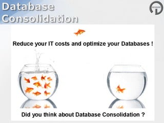 Database Education & Training