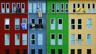 picture credit: https://www.flickr.com/photos/rincon_de_lula/
 