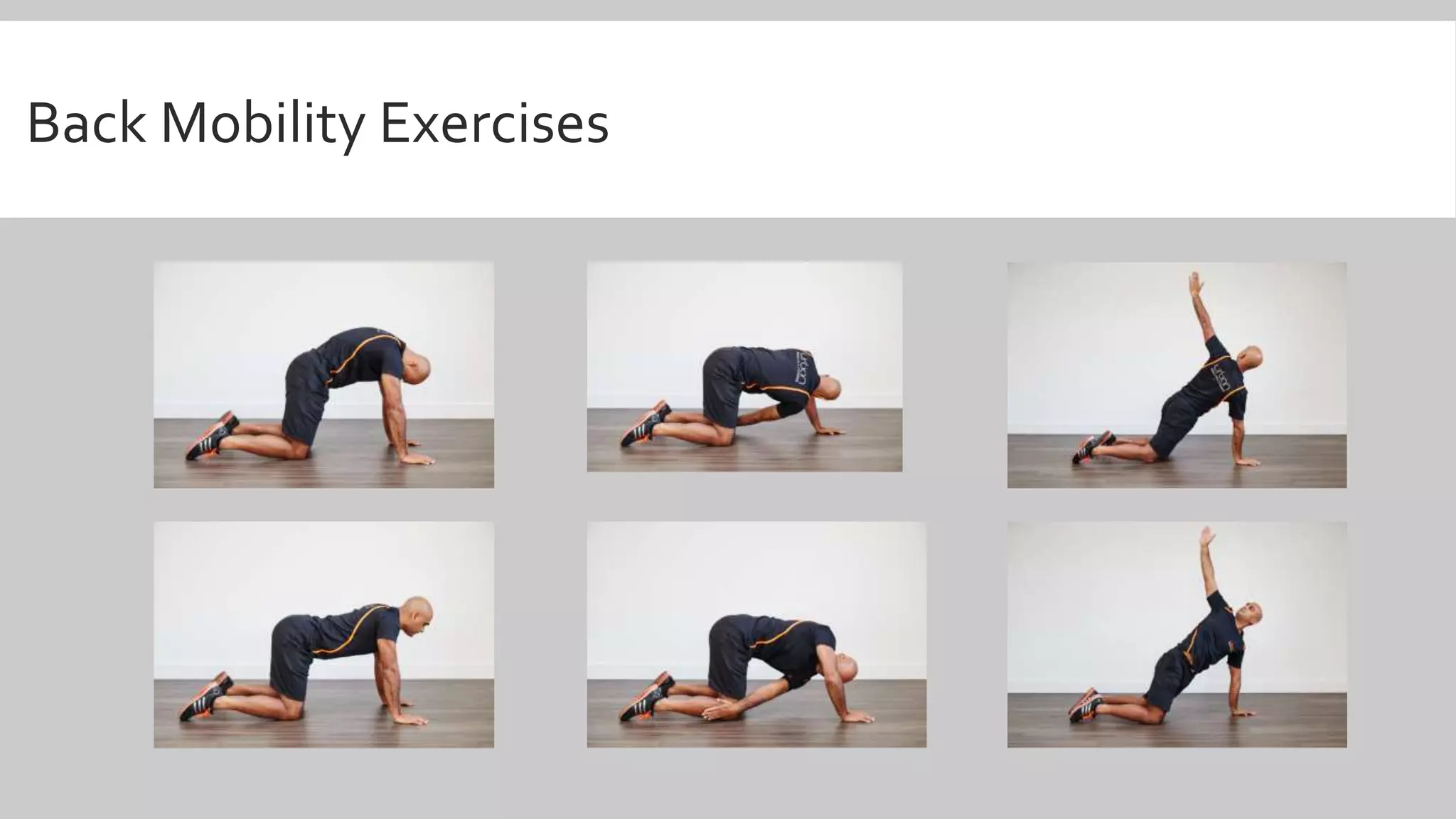Back Mobility Exercises
 