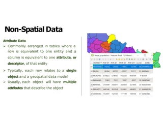 Non-Spatial Data
Attribute Data
➢ Commonly arranged in tables where a
row is equivalent to one entity and a
column is equivalent to one attribute, or
descriptor, of that entity
➢ Typically, each row relates to a single
object and a geospatial data model
➢ Usually, each object will have multiple
attributes that describe the object
 