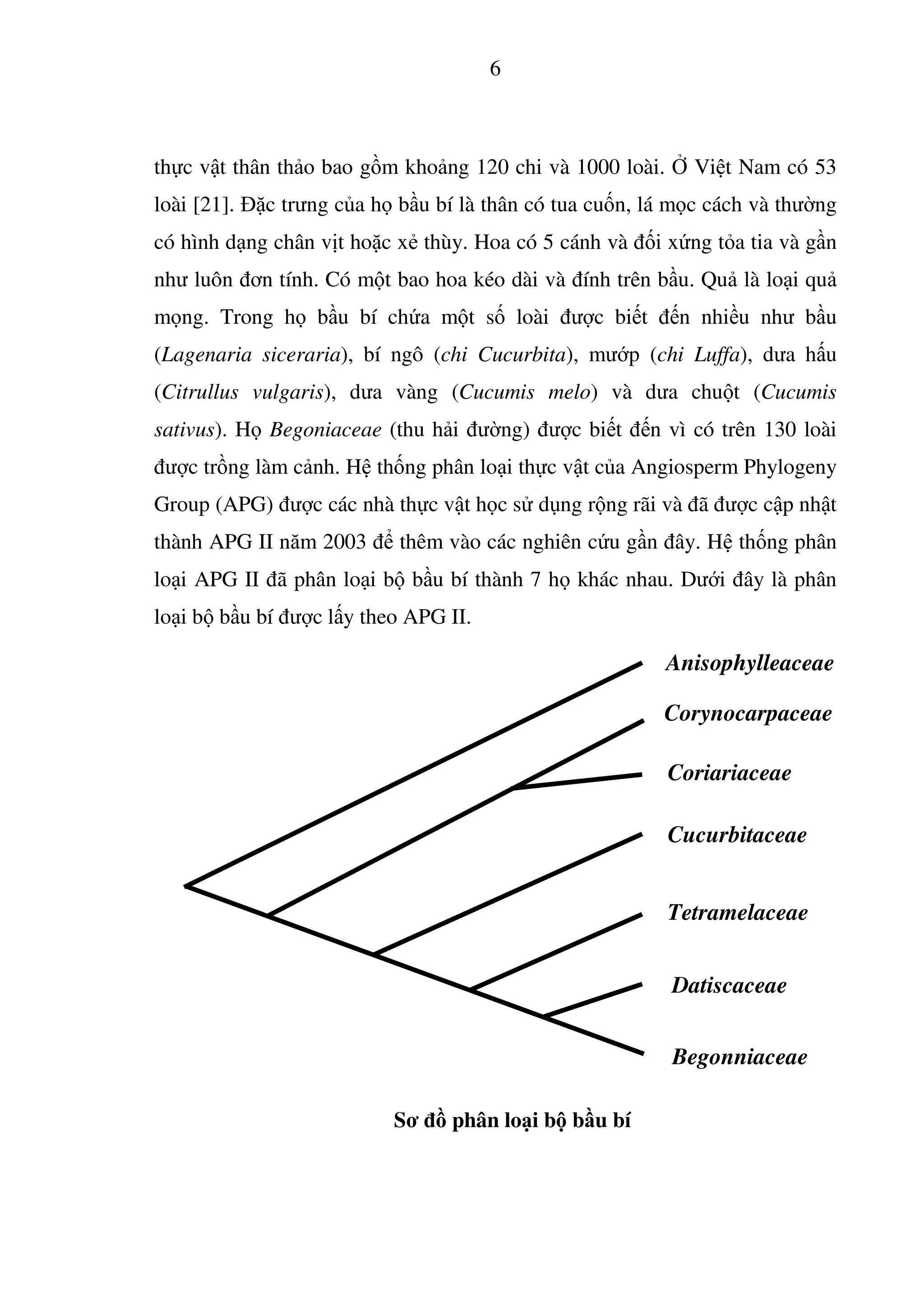 Nghiên Cứu Đặc Điểm Sinh Trưởng, Năng Suất Và Chất Lượng Của Một Số Giống Bí Đỏ Trồng Tại Trường Đại Học Nông Lâm Thái Nguyên