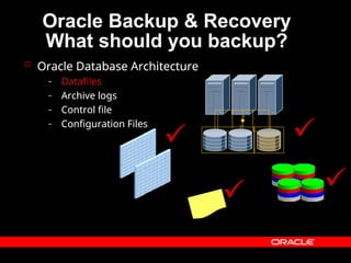 Oracle Backup & Recovery
What should you backup?
 Oracle Database Architecture
– Datafiles
– Archive logs
– Control file
– Configuration Files
 Oracle Database Architecture
– Datafiles
– Archive logs
– Control file
– Configuration Files
 Oracle Database Architecture
– Datafiles
– Archive logs
– Control file
– Configuration Files
 Oracle Database Architecture
– Datafiles
– Archive logs
– Control file
– Configuration Files
 Oracle Database Architecture
– Datafiles
– Archive logs
– Control file
– Configuration Files

 

 