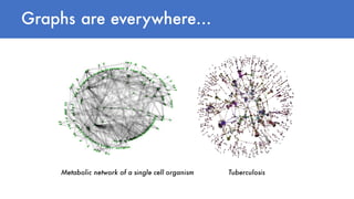 Graphs are everywhere…
Metabolic network of a single cell organism Tuberculosis
 