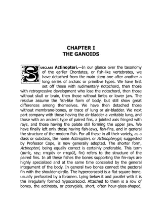 CHAPTER I
THE GANOIDS
ubclass Actinopteri.—In our glance over the taxonomy
of the earlier Chordates, or fish-like vertebrates, we
have detached from the main stem one after another a
long series of archaic or primitive types. We have first
set off those with rudimentary notochord, then those
with retrogressive development who lose the notochord, then those
without skull or brain, then those without limbs or lower jaw. The
residue assume the fish-like form of body, but still show great
differences among themselves. We have then detached those
without membrane-bones, or trace of lung or air-bladder. We next
part company with those having the air-bladder a veritable lung, and
those with an ancient type of paired fins, a jointed axis fringed with
rays, and those having the palate still forming the upper jaw. We
have finally left only those having fish-jaws, fish-fins, and in general
the structure of the modern fish. For all these in all their variety, as a
class or subclass, the name Actinopteri, or Actinopterygii, suggested
by Professor Cope, is now generally adopted. The shorter form,
Actinopteri, being equally correct is certainly preferable. This term
(ακτίς, ray; πτερόν or πτερύξ, fin) refers to the structure of the
paired fins. In all these fishes the bones supporting the fin-rays are
highly specialized and at the same time concealed by the general
integument of the body. In general two bones connect the pectoral
fin with the shoulder-girdle. The hypercoracoid is a flat square bone,
usually perforated by a foramen. Lying below it and parallel with it is
the irregularly formed hypocoracoid. Attached to them is a row of
bones, the actinosts, or pterygials, short, often hour-glass-shaped,
 