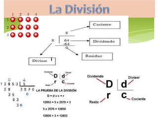 5 mut div_borrtador_sdn y algoritmos con material