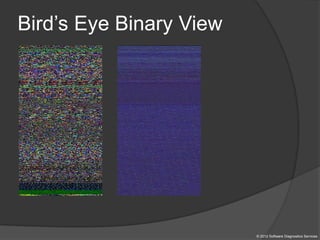 Bird’s Eye Binary View
© 2012 Software Diagnostics Services
 