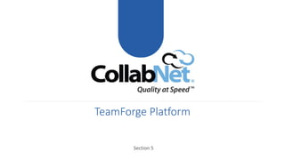 TeamForge Platform
Section 5
 