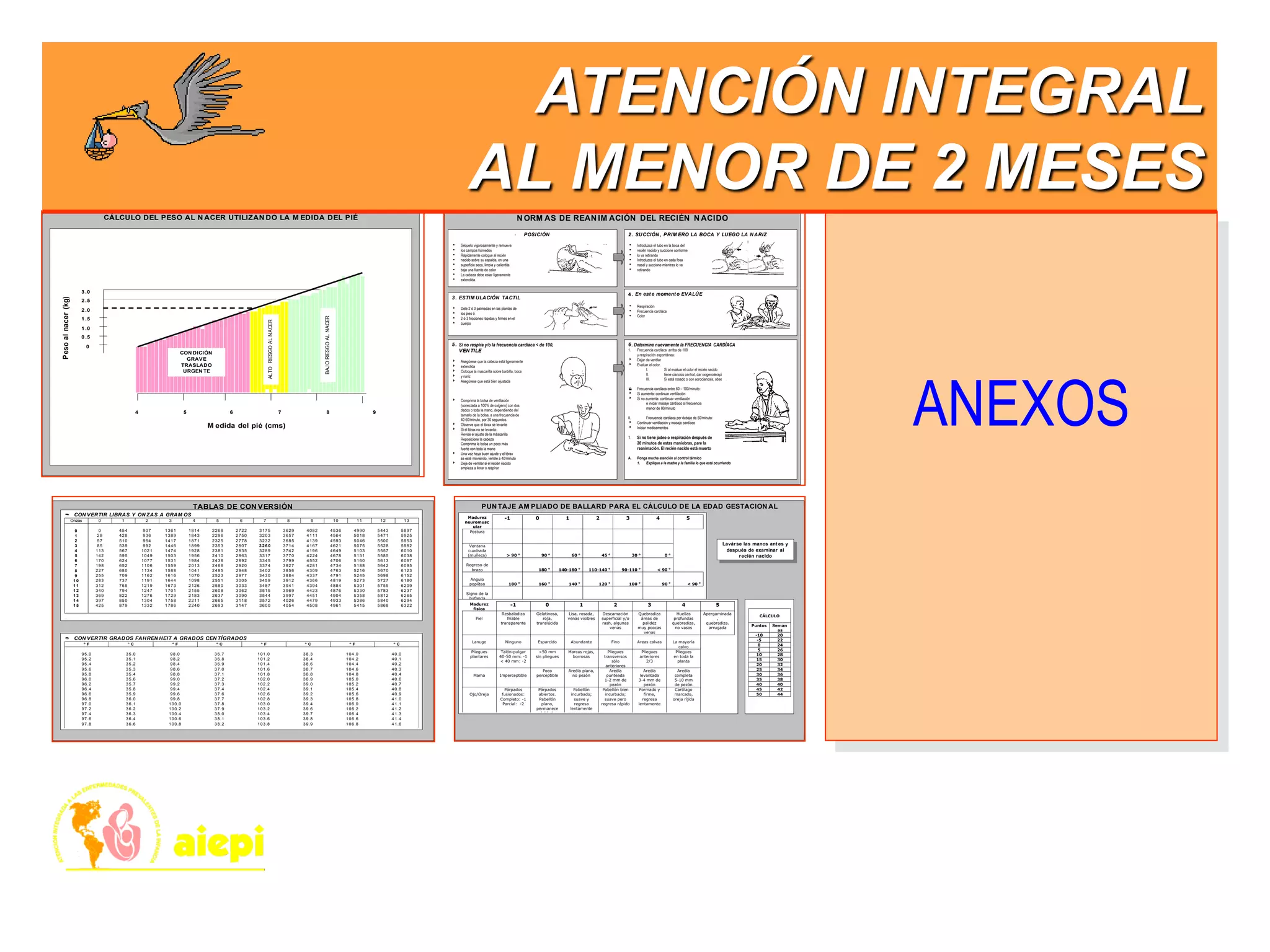 ANEXOS
Anexo III
CÁLCULO DEL PESO AL N ACER UTILIZAN DO LA M EDIDA DEL PIÉ
4 5 6 7 8 9
M edida del pié (cms)
Pesoalnacer(kg)
CON DICIÓN
GRAVE
TRASLADO
URGEN TE
ALTORIESGOALNACER
BAJORIESGOALNACER
3 .0
2 .5
2 .0
1 .5
1 .0
0 .5
0
N ORM AS DE REAN IM ACIÓN DEL RECIÉN N ACIDO
- POSICIÓN
 Séquelo vigorosamente y remueva
 los campos húmedos
 Rápidamente coloque al recién
 nacido sobre su espalda, en una
 superficie seca, limpia y calientita
 bajo una fuente de calor
 La cabeza debe estar ligeramente
 extendida.
2. SUCCIÓN , PRIM ERO LA BOCA Y LUEGO LA N ARIZ
 Introduzca el tubo en la boca del
 recién nacido y succione conforme
 lo va retirando
 Introduzca el tubo en cada fosa
 nasal y succione mientras lo va
 retirando
3. ESTIM ULACIÓN TACTIL
 Déle 2 ó 3 palmadas en las plantas de
 los pies ó
 2 ó 3 fricciones rápidas y firmes en el
 cuerpo
4. En est e moment o EVALÚE
 Respiración
 Frecuencia cardíaca
 Color
5. Si no respira y/o la frecuencia cardíaca < de 100,
VEN TILE
 Asegúrese que la cabeza está ligeramente
 extendida
 Coloque la mascarilla sobre barbilla, boca
 y nariz
 Asegúrese que está bien ajustada
 Comprima la bolsa de ventilación
(conectada a 100% de oxígeno) con dos
dedos o toda la mano, dependiendo del
tamaño de la bolsa, a una frecuencia de
40-60/minuto, por 30 segundos.
 Observe que el tórax se levante
 Si el tórax no se levanta:
Revise el ajuste de la máscarilla
Reposicione la cabeza
Comprima la bolsa un poco más
fuerte con toda la mano
 Una vez haya buen ajuste y el tórax
se esté moviendo, ventile a 40/minuto
 Deje de ventilar si el recién nacido
empieza a llorar o respirar
6. Determine nuevamente la FRECUENCIA CARDÍACA
1. Frecuencia cardíaca arriba de 100
y respiración espontánea:
 Dejar de ventilar
 Evaluar el color.
I. Si al evaluar el color el recién nacido
II. tiene cianosis central, dar oxigenoterapia
III. Si está rosado o con acrocianosis, observar
 Frecuencia cardíaca entre 60 – 100/minuto:
 Si aumenta: continuar ventilación
 Si no aumenta: continuar ventilación
e iniciar masaje cardíaco si frecuencia
menor de 80/minuto
II. Frecuencia cardíaca por debajo de 60/minuto:
 Continuar ventilación y masaje cardíaco
 Iniciar medicamentos
1. Si no tiene jadeo o respiración después de
20 minutos de estas maniobras, pare la
reanimación. El recién nacido está muerto
A. Ponga mucha atención al control térmico
1. Explique a la madre y la familia lo que está ocurriendo
ANEXO ITABLAS DE CON VERSIÓN
 CON VERTIR LIBRAS Y ON ZAS A GRAM OS
Onzas 0 1 2 3 4 5 6 7 8 9 10 11 12 13
0
1
2
3
4
5
6
7
8
9
1 0
1 1
1 2
1 3
1 4
1 5
0
28
57
85
113
142
170
198
227
255
283
312
340
369
397
425
454
428
510
539
567
595
624
652
680
709
737
765
794
822
850
879
907
936
964
992
1021
1049
1077
1106
1134
1162
1191
1219
1247
1276
1304
1332
1361
1389
1417
1446
1474
1503
1531
1559
1588
1616
1644
1673
1701
1729
1758
1786
1814
1843
1871
1899
1928
1956
1984
2013
1041
1070
1098
2126
2155
2183
2211
2240
2268
2296
2325
2353
2381
2410
2438
2466
2495
2523
2551
2580
2608
2637
2665
2693
2722
2750
2778
2807
2835
2863
2892
2920
2948
2977
3005
3033
3062
3090
3118
3147
3175
3203
3232
3 2 6 0
3289
3317
3345
3374
3402
3430
3459
3487
3515
3544
3572
3600
3629
3657
3685
3714
3742
3770
3799
3827
3856
3884
3912
3941
3969
3997
4026
4054
4082
4111
4139
4167
4196
4224
4552
4281
4309
4337
4366
4394
4423
4451
4479
4508
4536
4564
4593
4621
4649
4678
4706
4734
4763
4791
4819
4884
4876
4904
4933
4961
4990
5018
5046
5075
5103
5131
5160
5188
5216
5245
5273
5301
5330
5358
5386
5415
5443
5471
5500
5528
5557
5585
5613
5642
5670
5698
5727
5755
5783
5812
5840
5868
5897
5925
5953
5982
6010
6038
6067
6095
6123
6152
6180
6209
6237
6265
6294
6322
Ejemplo: para obtener gramos equivalentes a 7 libras y 3 onzas, lea 7 en la escala superior y 3 en la escala de la izquierda y el resultado 3260 gramos
 CON VERTIR GRADOS FAHREN HEIT A GRADOS CEN TÍGRADOS
o
F o
C o
F o
C o
F o
C o
F o
C
95.0
95.2
95.4
95.6
95.8
96.0
96.2
96.4
96.6
96.8
97.0
97.2
97.4
97.6
97.8
35.0
35.1
35.2
35.3
35.4
35.6
35.7
35.8
35.9
36.0
36.1
36.2
36.3
36.4
36.6
98.0
98.2
98.4
98.6
98.8
99.0
99.2
99.4
99.6
99.8
100.0
100.2
100.4
100.6
100.8
36.7
36.8
36.9
37.0
37.1
37.2
37.3
37.4
37.6
37.7
37.8
37.9
38.0
38.1
38.2
101.0
101.2
101.4
101.6
101.8
102.0
102.2
102.4
102.6
102.8
103.0
103.2
103.4
103.6
103.8
38.3
38.4
38.6
38.7
38.8
38.9
39.0
39.1
39.2
39.3
39.4
39.6
39.7
39.8
39.9
104.0
104.2
104.4
104.6
104.8
105.0
105.2
105.4
105.6
105.8
106.0
106.2
106.4
106.6
106.8
40.0
40.1
40.2
40.3
40.4
40.6
40.7
40.8
40.9
41.0
41.1
41.2
41.3
41.4
41.6
PUN TAJE AM PLIADO DE BALLARD PARA EL CÁLCULO DE LA EDAD GESTACION AL
Madurez
neuromusc
ular
-1 0 1 2 3 4 5
Postura
Ventana
cuadrada
(muñeca) > 90 o
90 o
60 o
45 o
30 o
0 o
Regreso de
brazo 180 o
140-180 o
110-140 o
90-110 o
< 90 o
Angulo
poplíteo 180 o
160 o
140 o
120 o
100 o
90 o
< 90 o
Signo de la
bufanda
Talón
oreja
Lavárse las manos ant es y
después de examinar al
recién nacido
Madurez
física
-1 0 1 2 3 4 5
Piel
Resbaladiza
friable
transparente
Gelatinosa,
roja,
translúcida
Lisa, rosada,
venas visibles
Descamación
superficial y/o
rash, algunas
venas
Quebradiza
áreas de
palidez
muy poocas
venas
Huellas
profundas
quebradiza,
no vasos
Apergaminada
,
quebradiza.
arrugada
Lanugo Ninguno Esparcido Abundante Fino Areas calvas La mayoría
calvo
Pliegues
plantares
Talón-pulgar
40-50 mm: -1
< 40 mm: -2
>50 mm
sin pliegues
Marcas rojas,
borrosas
Pliegues
transversos
sólo
anteriores
Pliegues
anteriores
2/3
Pliegues
en toda la
planta
Mama Imperceptible
Poco
perceptible
Areóla plana,
no pezón
Areóla
punteada
1-2 mm de
pezón
Areóla
levantada
3-4 mm de
pezón
Areóla
completa
5-10 mm
de pezón
Ojo/Oreja
Párpados
fusionados:
Completo: -1
Parcial: -2
Párpados
abiertos.
Pabellón
plano,
permanece
doblado
Pabellón
incurbado;
suave y
regresa
lentamente
Pabellón bien
incurbado;
suave pero
regresa rápido
Formado y
firme,
regresa
lentamente
Cartílago
marcado,
oreja ríjida
Genitales
masculinos
Escroto plano.
liso
Escroto vacío,
sin arrugas
Testículos
en canal
superior,
arrugas muy
raras
Testículos
descendiendo,
algunas
arrugas
Testículos
descendidos.
buenas
arrugas
Testículos
péndulos,
arrugas
profundas
Genitales
femeninos
Clítoris
prominente,
labios planos
Clítoris
prominente,
labios
menores
pequeños
Clítoris
prominente,
labios
menores
alargados
Labios
mayores y
menores
igualmente
prominentes
Labios
mayores
grandes y
menores
pequeños
Labios
mayores
cubren el
clítoris y a
labios
menores
CÁLCULO
Puntos Seman
as
-10 20
-5 22
0 24
5 26
10 28
15 30
20 32
25 34
30 36
35 38
40 40
45 42
50 44
ATENCIÓN INTEGRAL
AL MENOR DE 2 MESES
 