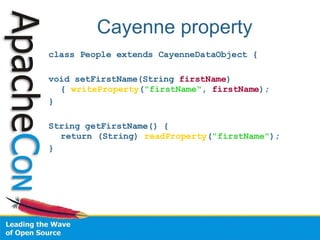 Cayenne property class People extends CayenneDataObject { void setFirstName(String  firstName ) {  writeProperty ( &quot;firstName&quot; ,  firstName ); } String getFirstName() {  return (String)  readProperty ( &quot;firstName&quot; ); } 